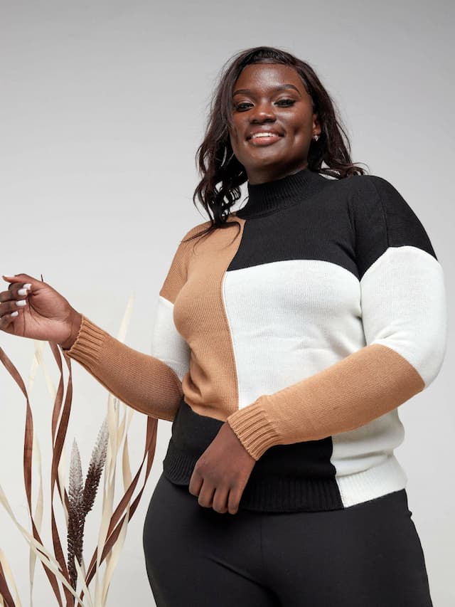 The Fashion Frenzy Full Neck Pullover - Brown Colourblock
