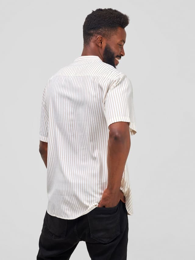 Zetu Men's Mandarin Button Down Stripped  Shirt - Brown